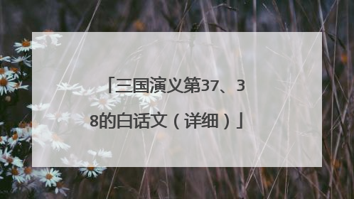 三国演义第37、38的白话文（详细）