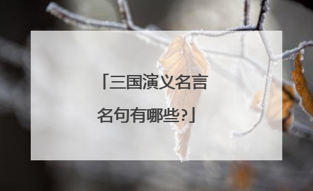 三国演义名言名句有哪些?