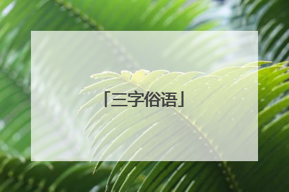 三字俗语