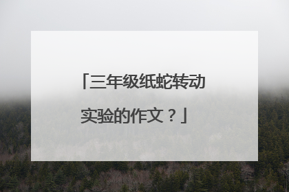三年级纸蛇转动实验的作文?