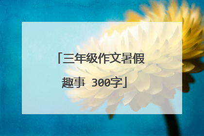 三年级作文暑假趣事 300字