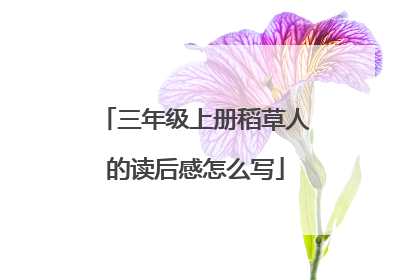 三年级上册稻草人的读后感怎么写