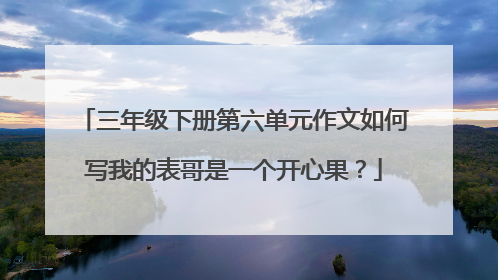 三年级下册第六单元作文如何写我的表哥是一个开心果？