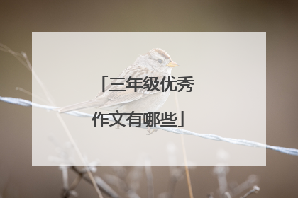 三年级优秀作文有哪些