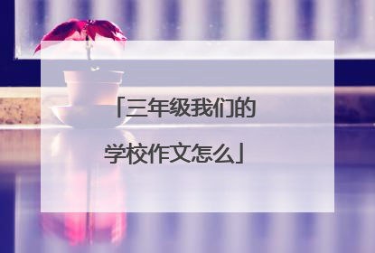 三年级我们的学校作文怎么
