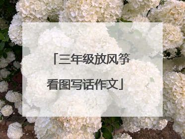三年级放风筝看图写话作文