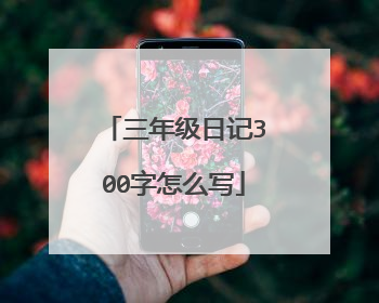 三年级日记300字怎么写