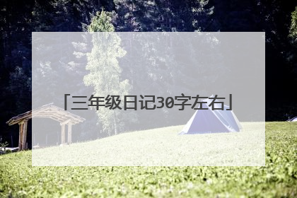 三年级日记30字左右
