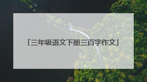 三年级语文下册三百字作文