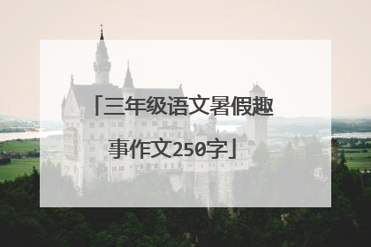 三年级语文暑假趣事作文250字