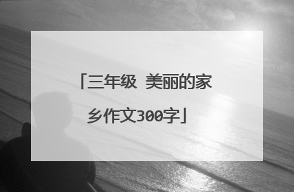 三年级 美丽的家乡作文300字