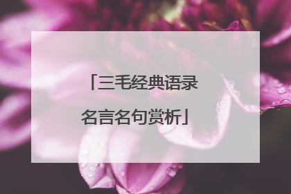 三毛经典语录名言名句赏析