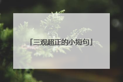 三观超正的小短句