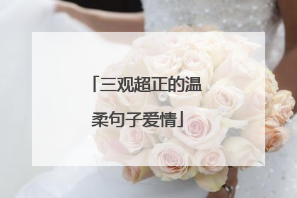 三观超正的温柔句子爱情