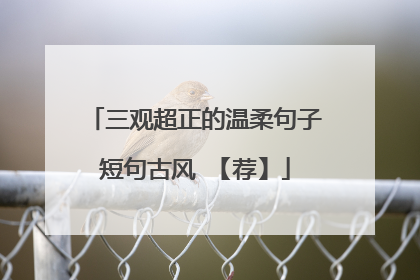 三观超正的温柔句子短句古风 【荐】