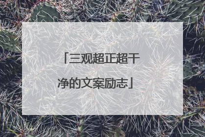 三观超正超干净的文案励志