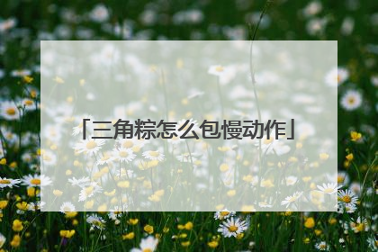 三角粽怎么包慢动作