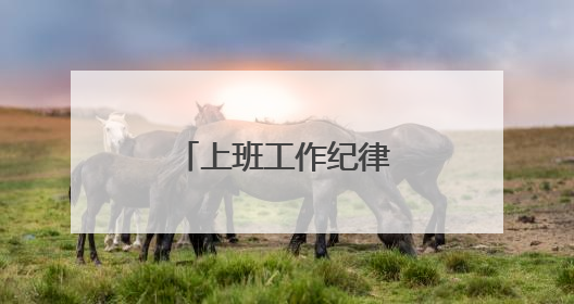 上班工作纪律制度是什么?