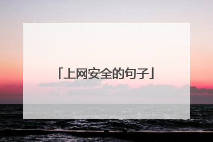 上网安全的句子