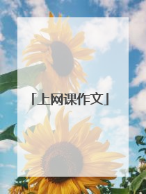 上网课作文