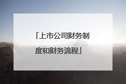 上市公司财务制度和财务流程