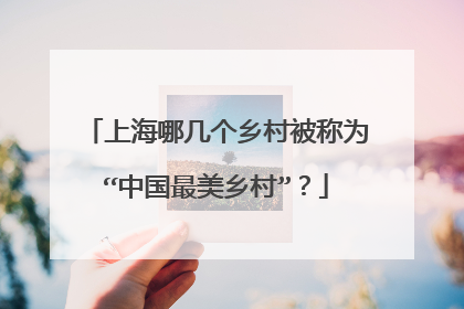 上海哪几个乡村被称为“中国最美乡村”？