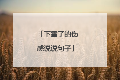 下雪了的伤感说说句子