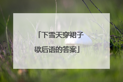 下雪天穿裙子歇后语的答案