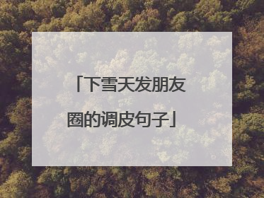 下雪天发朋友圈的调皮句子