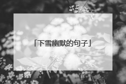 下雪幽默的句子