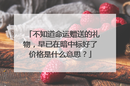 不知道命运赠送的礼物，早已在暗中标好了价格是什么意思？