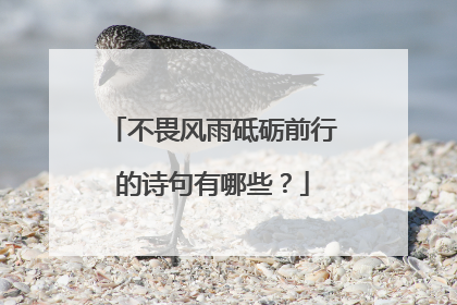 不畏风雨砥砺前行的诗句有哪些？