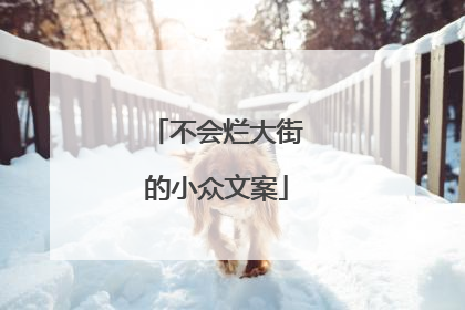 不会烂大街的小众文案