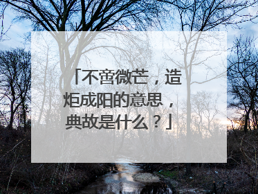 不啻微芒，造炬成阳的意思，典故是什么？