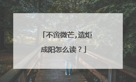 不啻微芒,造炬成阳怎么读？
