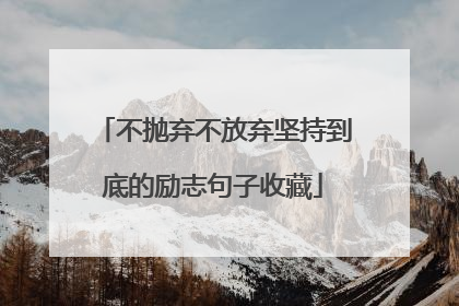 不抛弃不放弃坚持到底的励志句子收藏