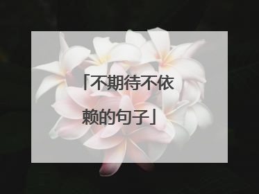 不期待不依赖的句子