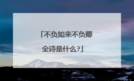 不负如来不负卿全诗是什么?