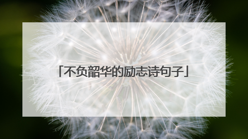 不负韶华的励志诗句子