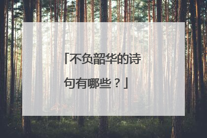 不负韶华的诗句有哪些？