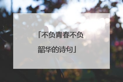 不负青春不负韶华的诗句