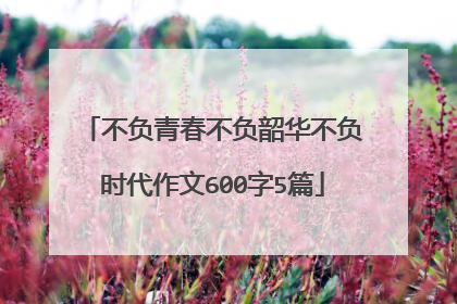 不负青春不负韶华不负时代作文600字5篇