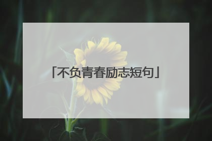 不负青春励志短句