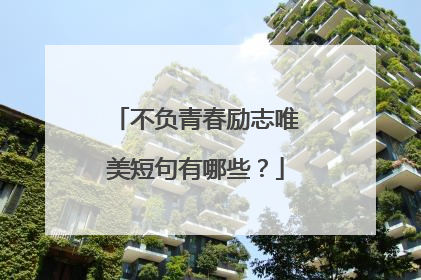 不负青春励志唯美短句有哪些？