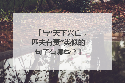 与“天下兴亡，匹夫有责”类似的句子有哪些？