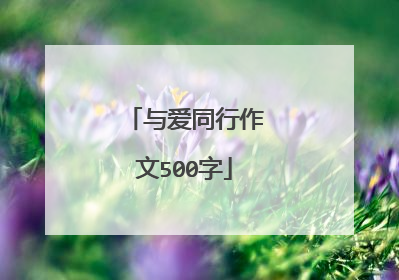 与爱同行作文500字