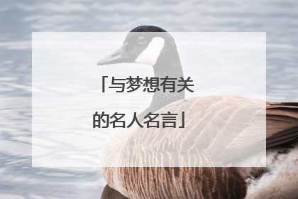 与梦想有关的名人名言