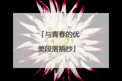 与青春的优美段落摘抄
