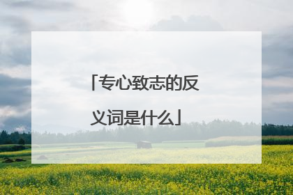 专心致志的反义词是什么