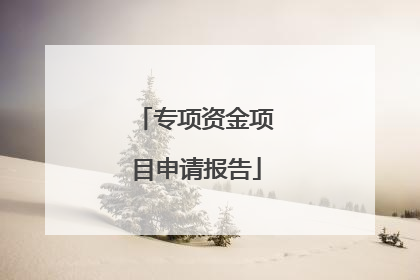 专项资金项目申请报告